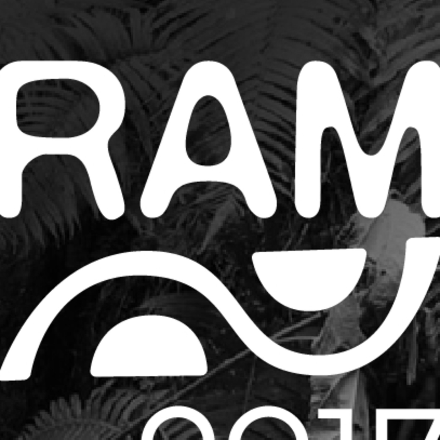 RAM 2017
