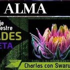 48-ALMA: Qué es? Mensaje 24 de Swaruu de Erra (Taygeta-Pleyades)