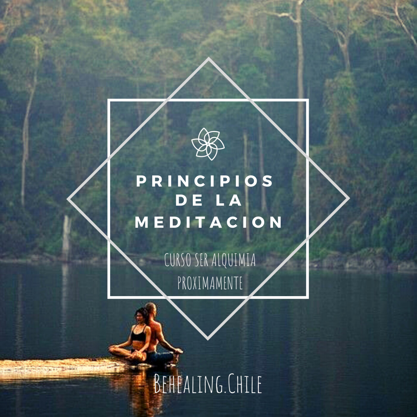 Behealing.chile