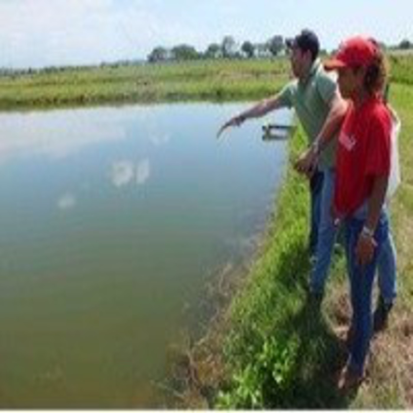 Podcast Noticias corresponsalía RNV Portuguesa