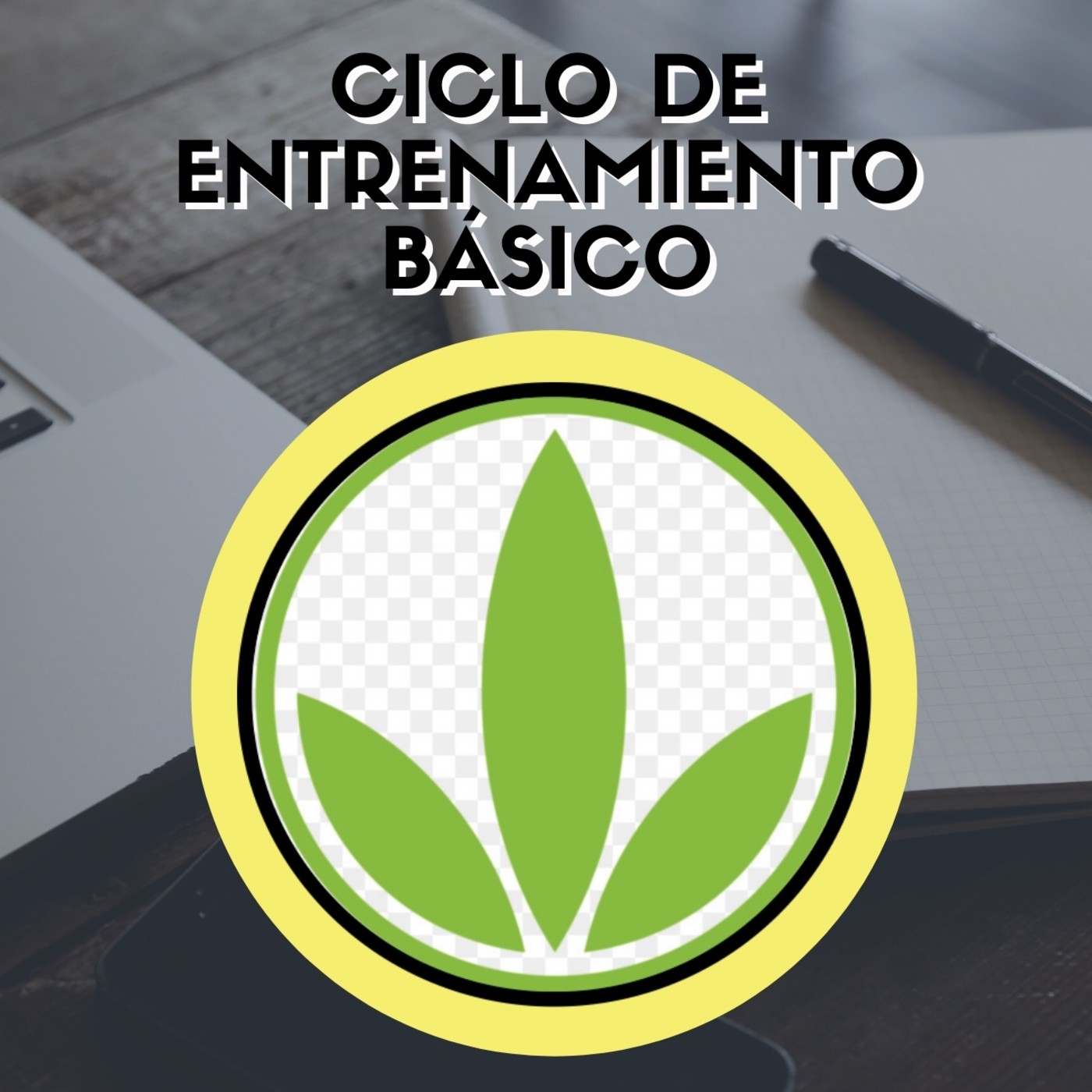 HBL DE LOS PROFESIONALES