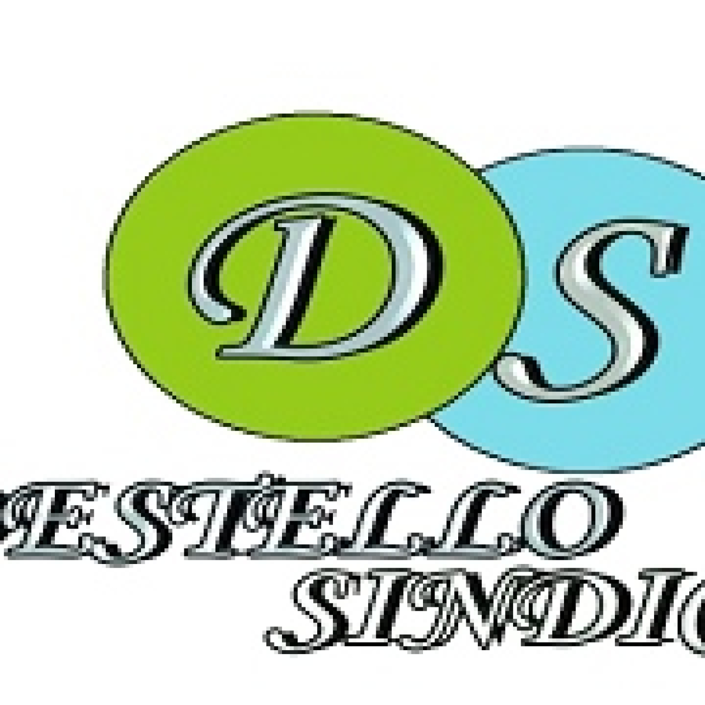 Destello Sindical 12022024P281 (1)