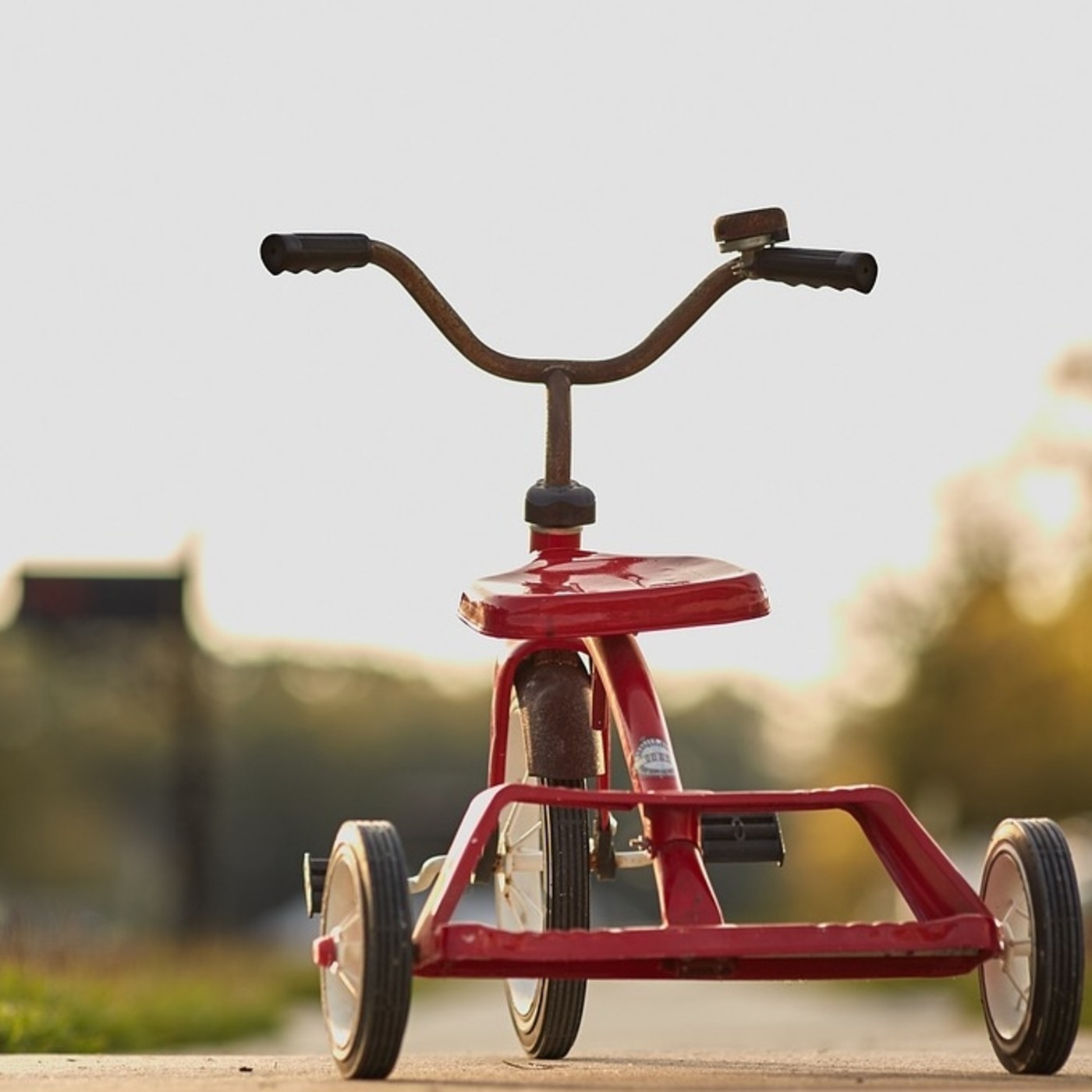 Entradas blog Osoa Accion Integral