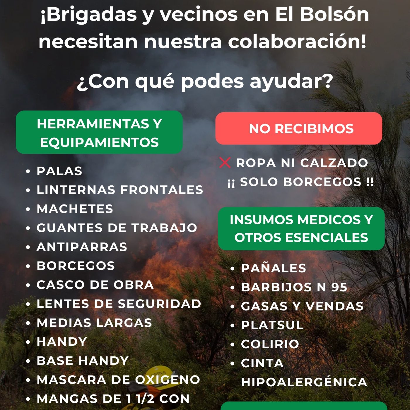 Eco Vida Ambiente