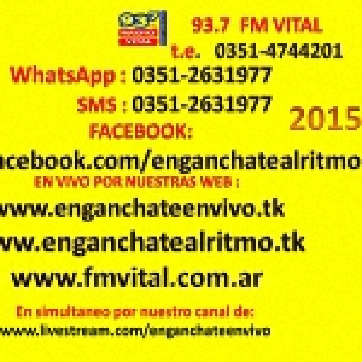 PROGRAMA 14.11.2015