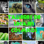 74.- Linajes Estelares