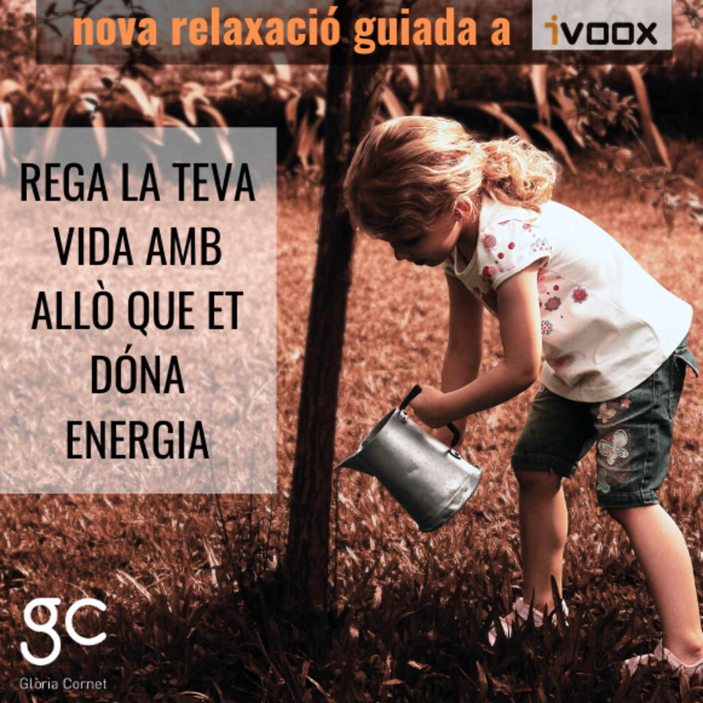 Relaxacions guiades de les classes de Ioga