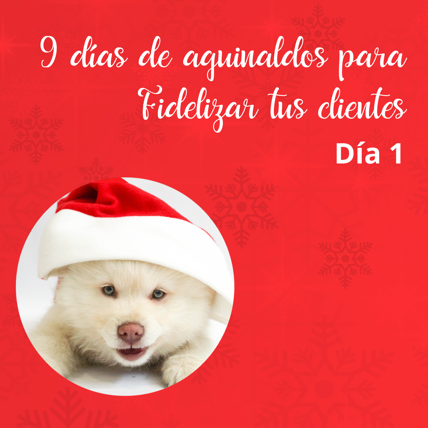 4lytics