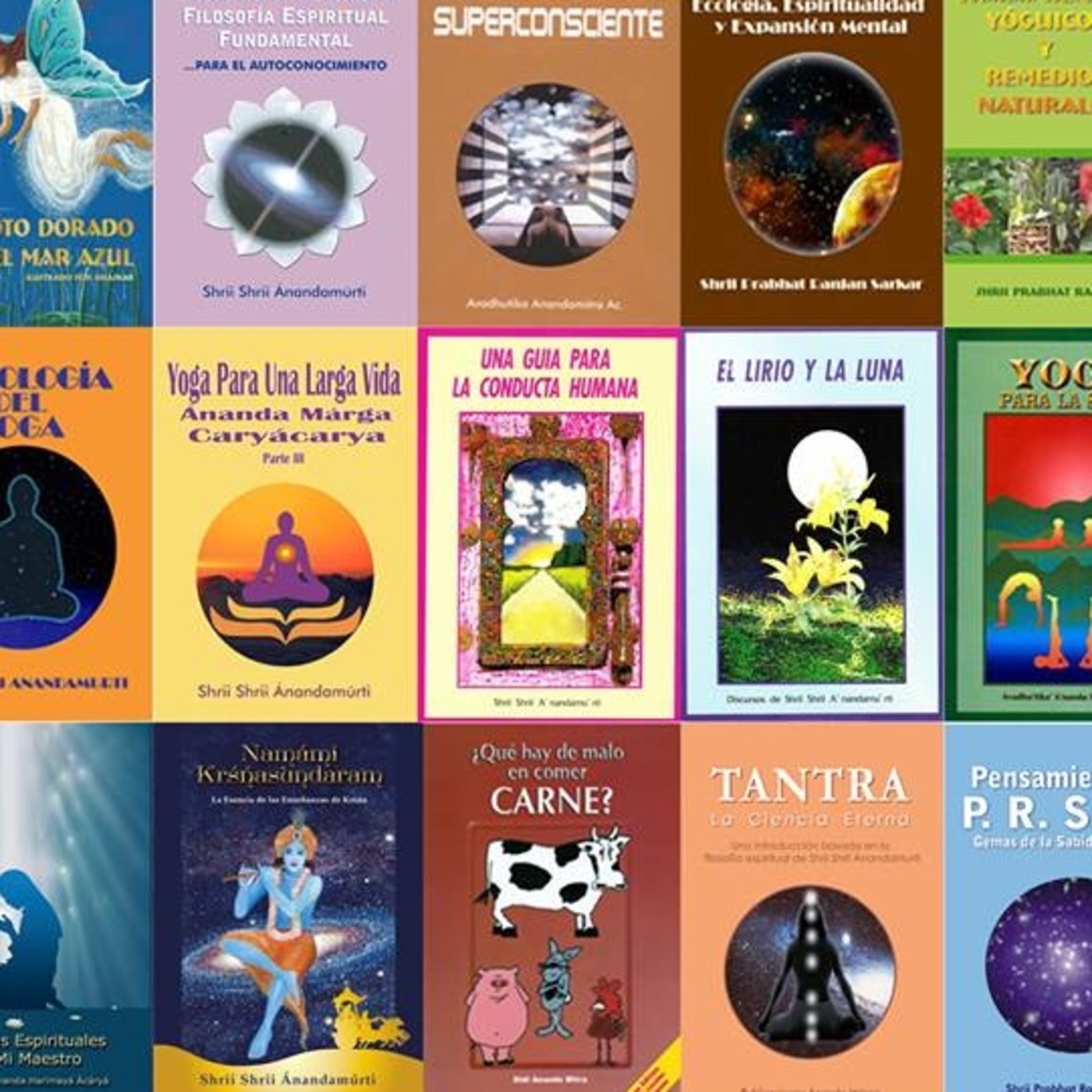 AnanadaMarga Filosfia y libros