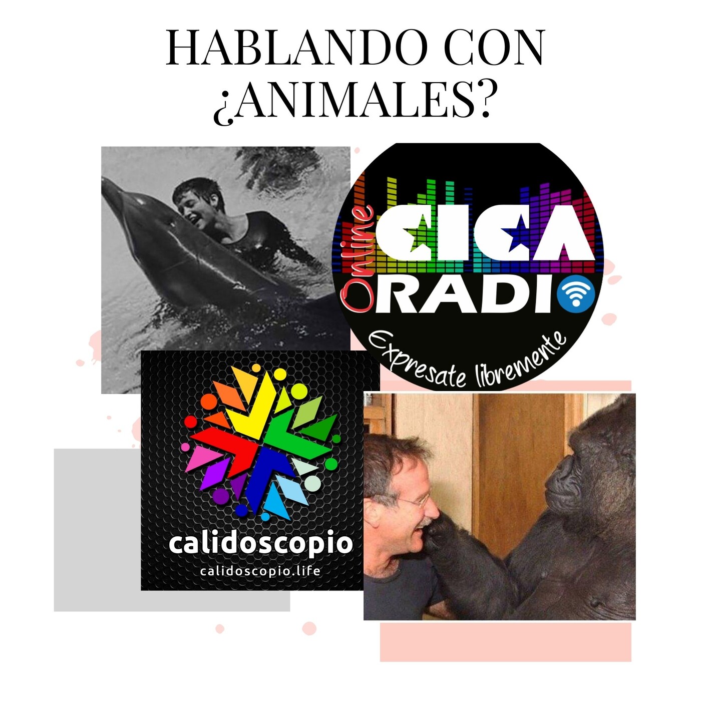 Programa Viejo