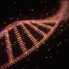 46. Especies, la genética prohibida.