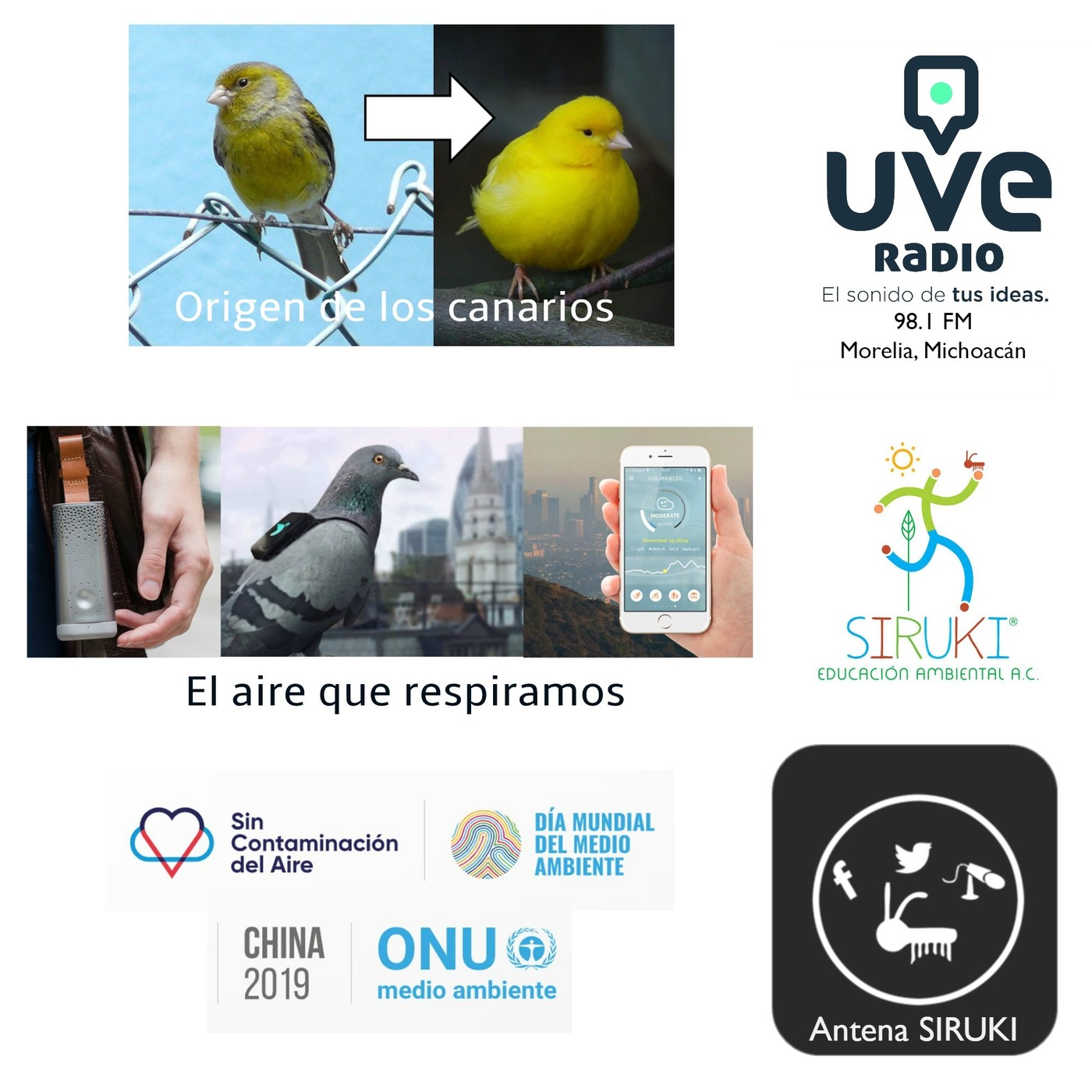 Programa 75-Origen de los Canarios, El aire que respiramos, Día Mundial del Ambiente 2019.