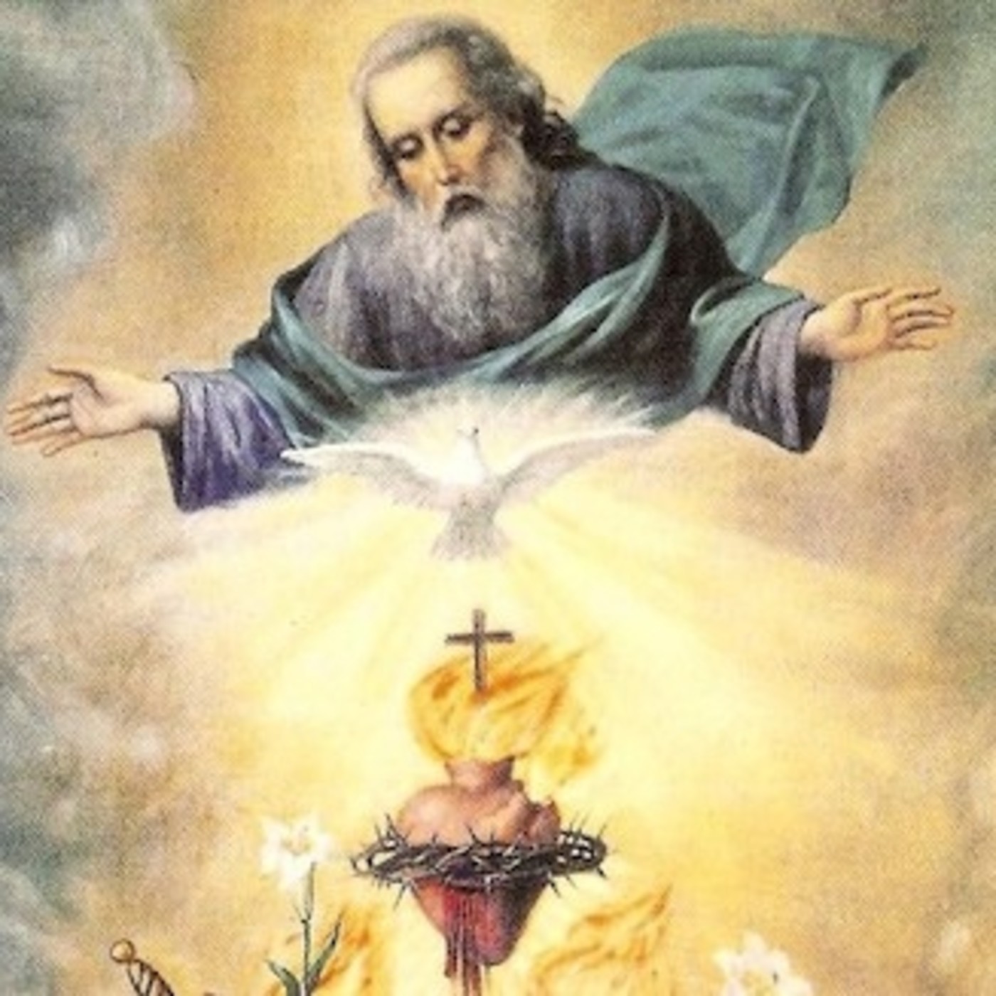 16. Corazón de Jesús, en quien el Padre halló sus Complacencias