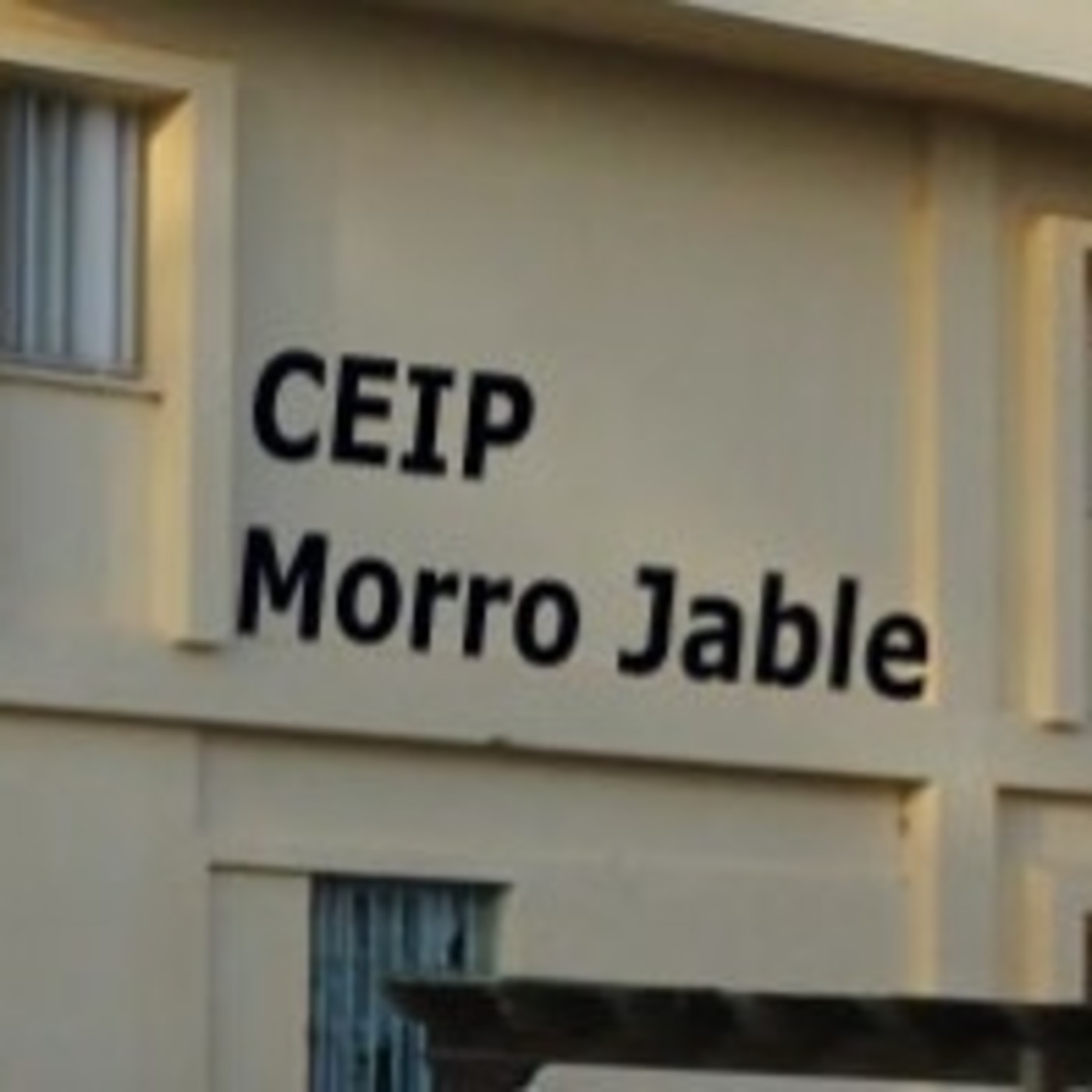 El Sur Despierta