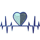 embed image