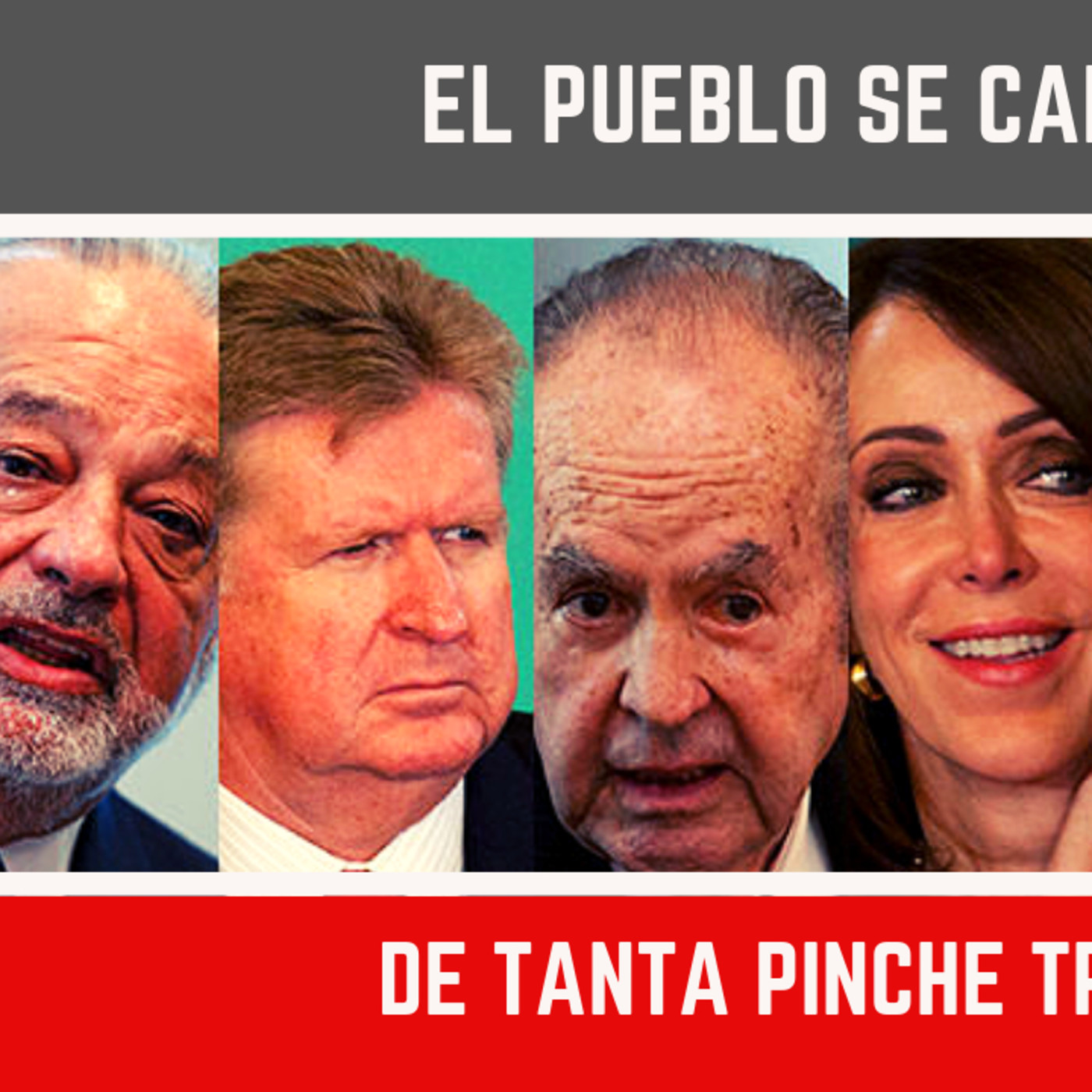 Me Canso Ganso MX