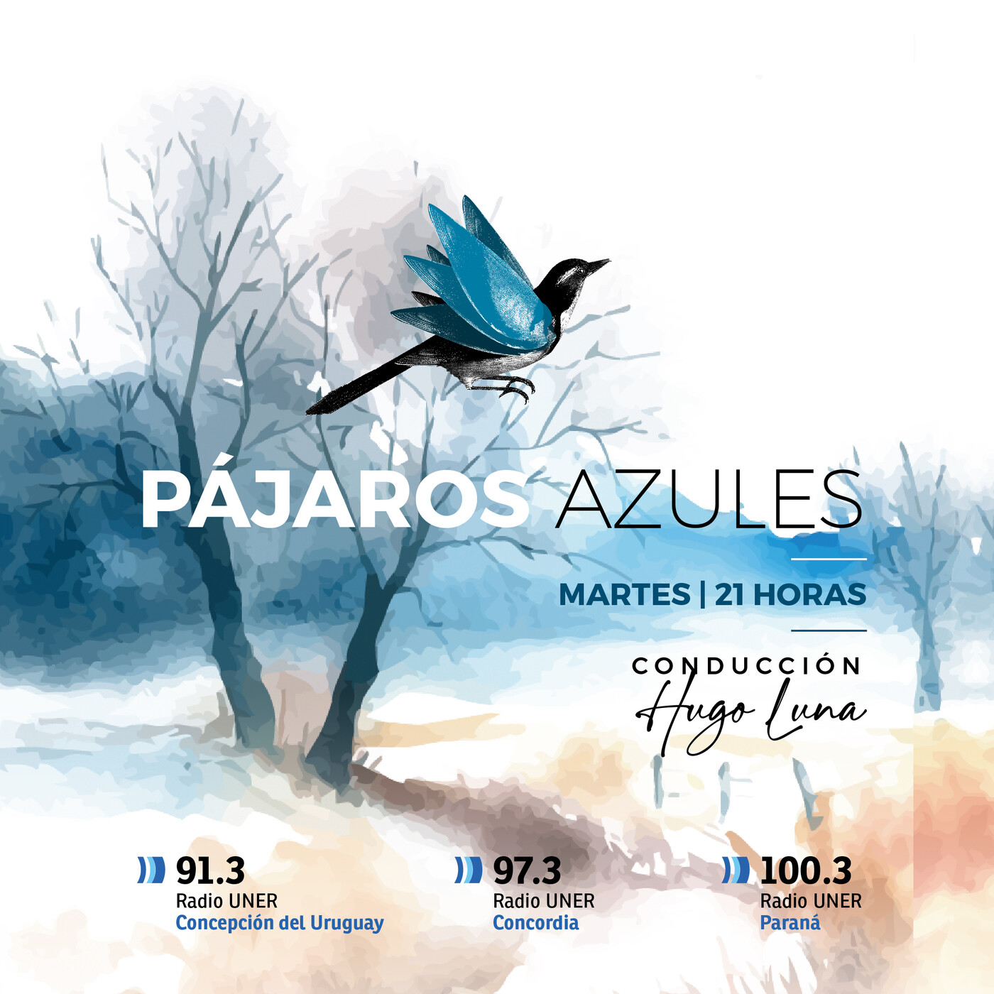 Pájaros Azules