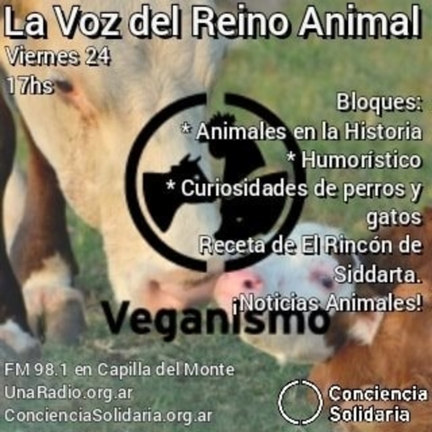 #LaVozDelReinoAnimal 24.04.2020 episode artwork