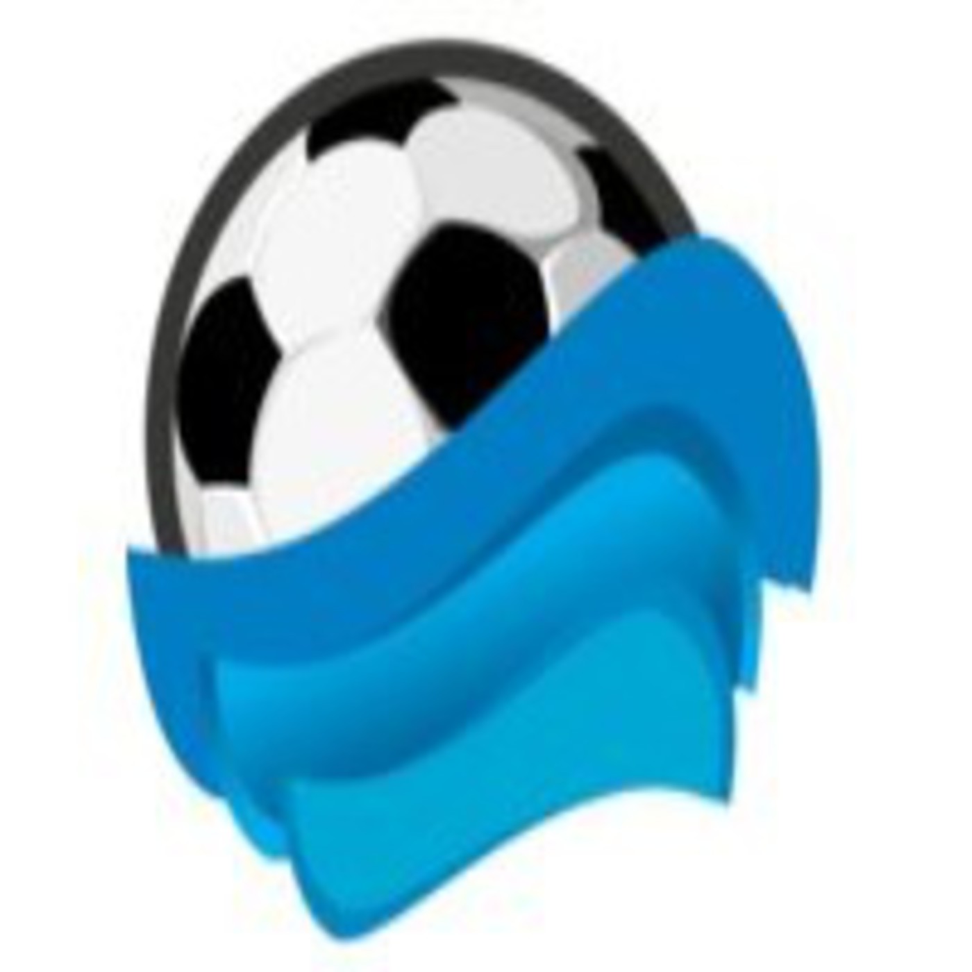 Consultora de Futbol L&M Cia Ltda