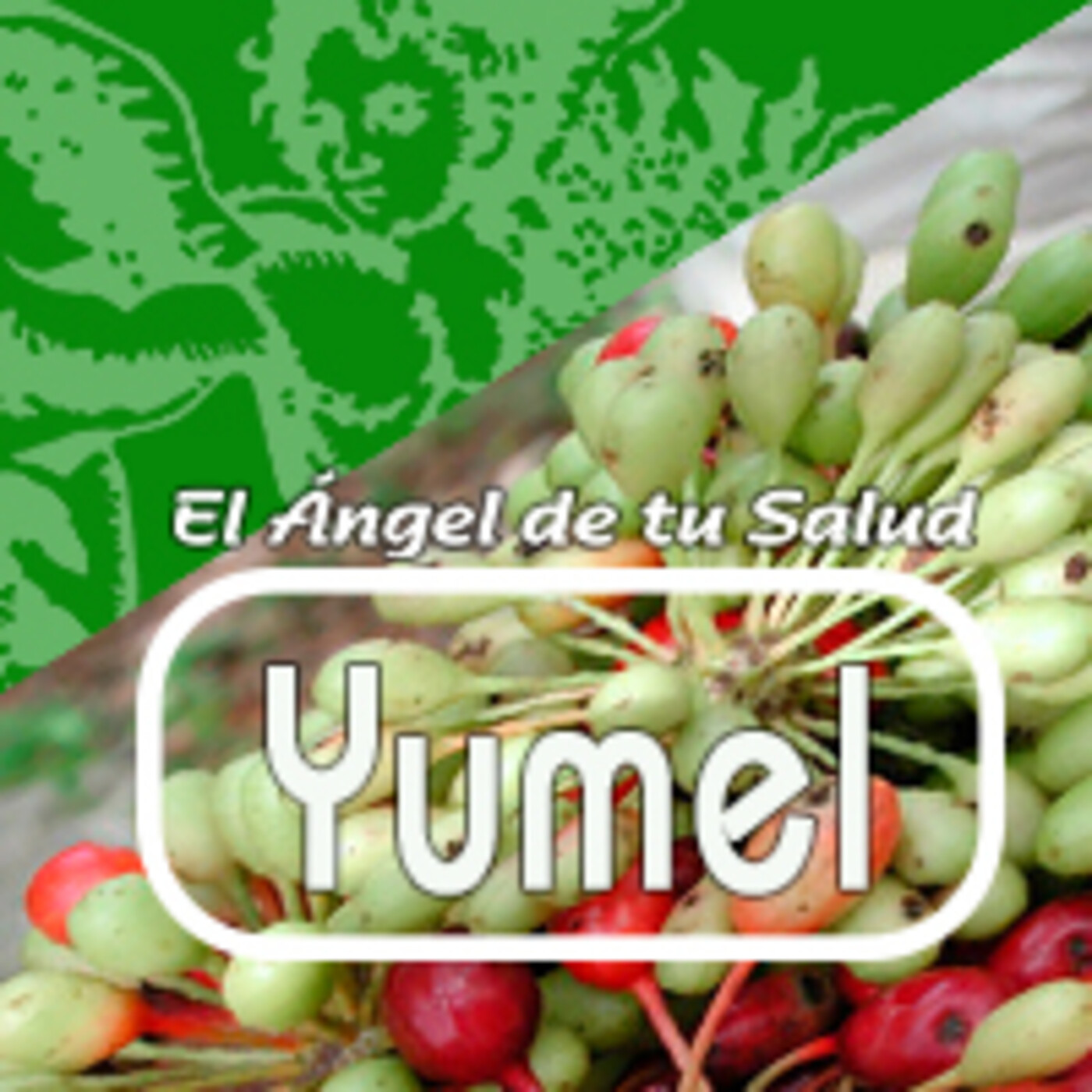 El Angel de tu Salud - YUMEL***** episode artwork
