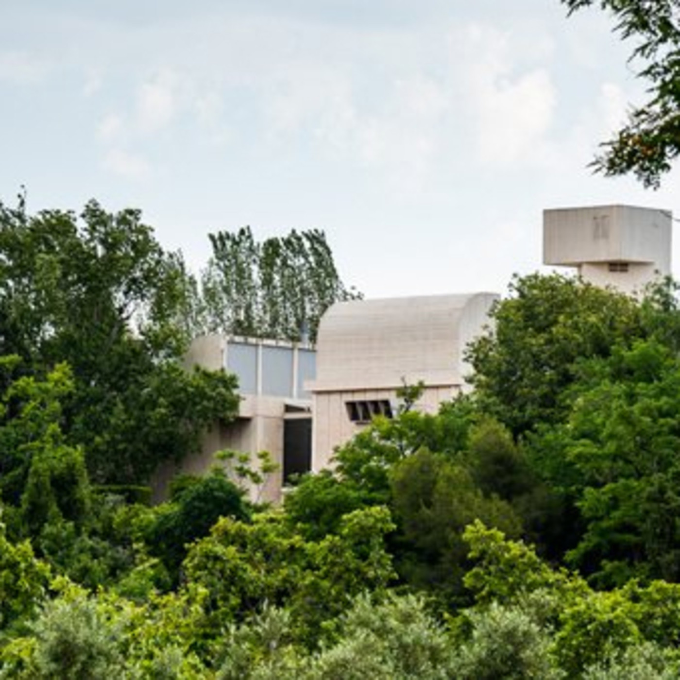 Anar al museu amb família