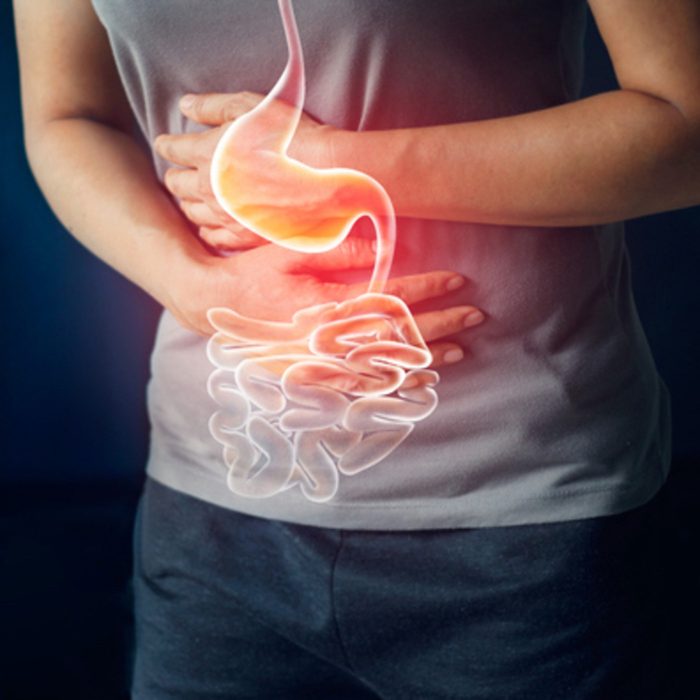 Tarde Interactiva - Nutrición