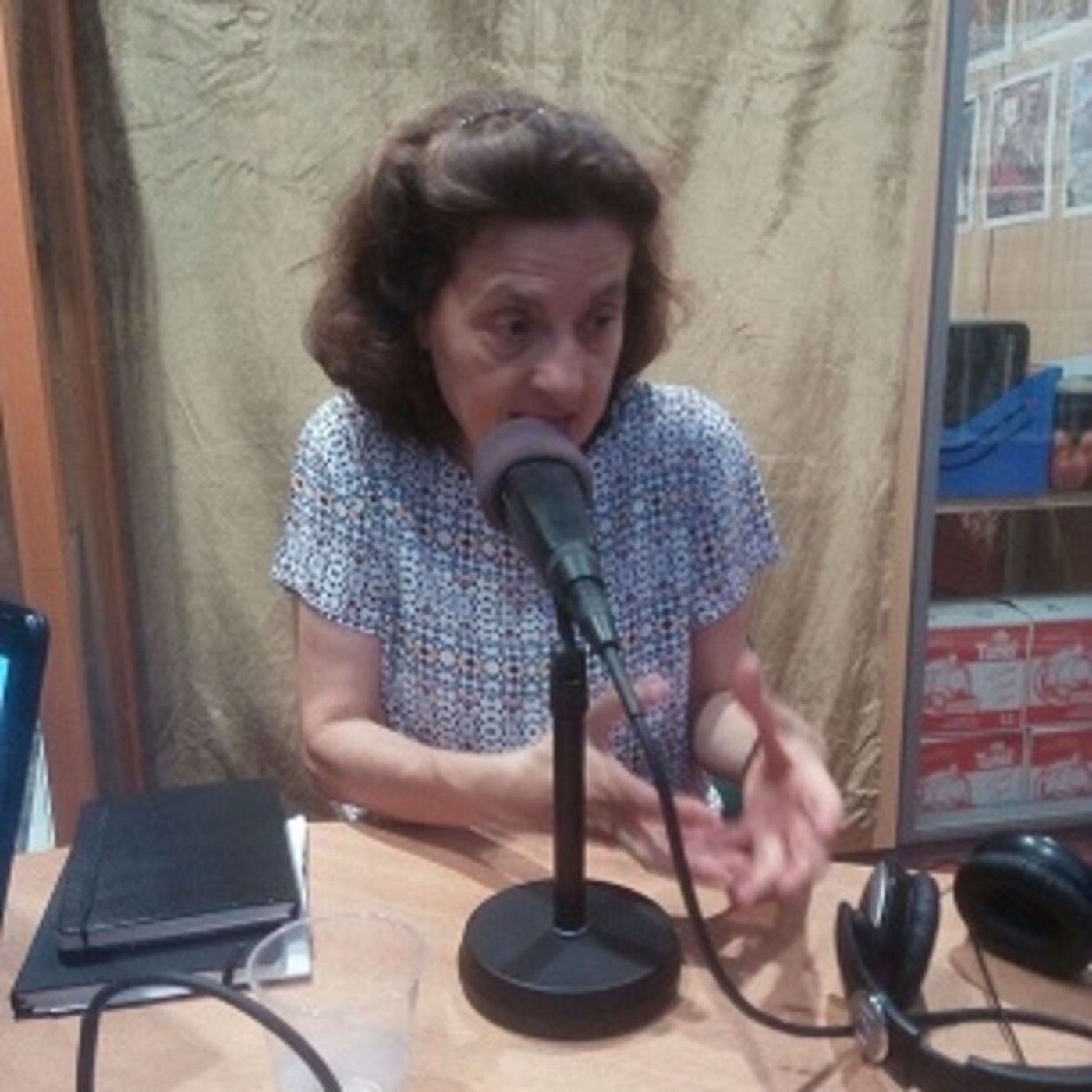 Entrevista a Fina Santiago 19/07/2017 episode artwork
