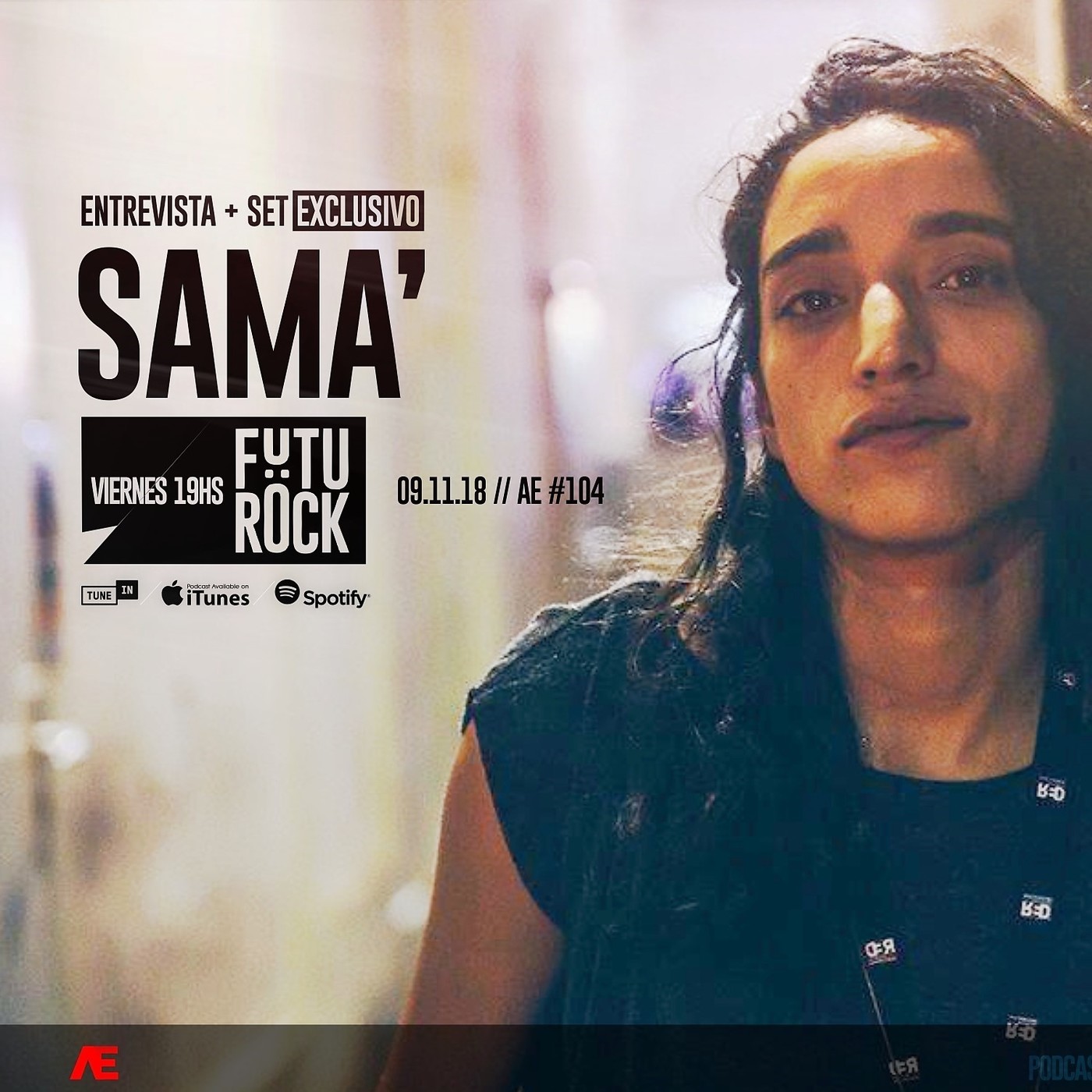 Argentina Electrónica