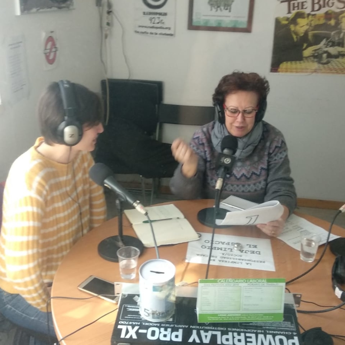Feminópolis Programa