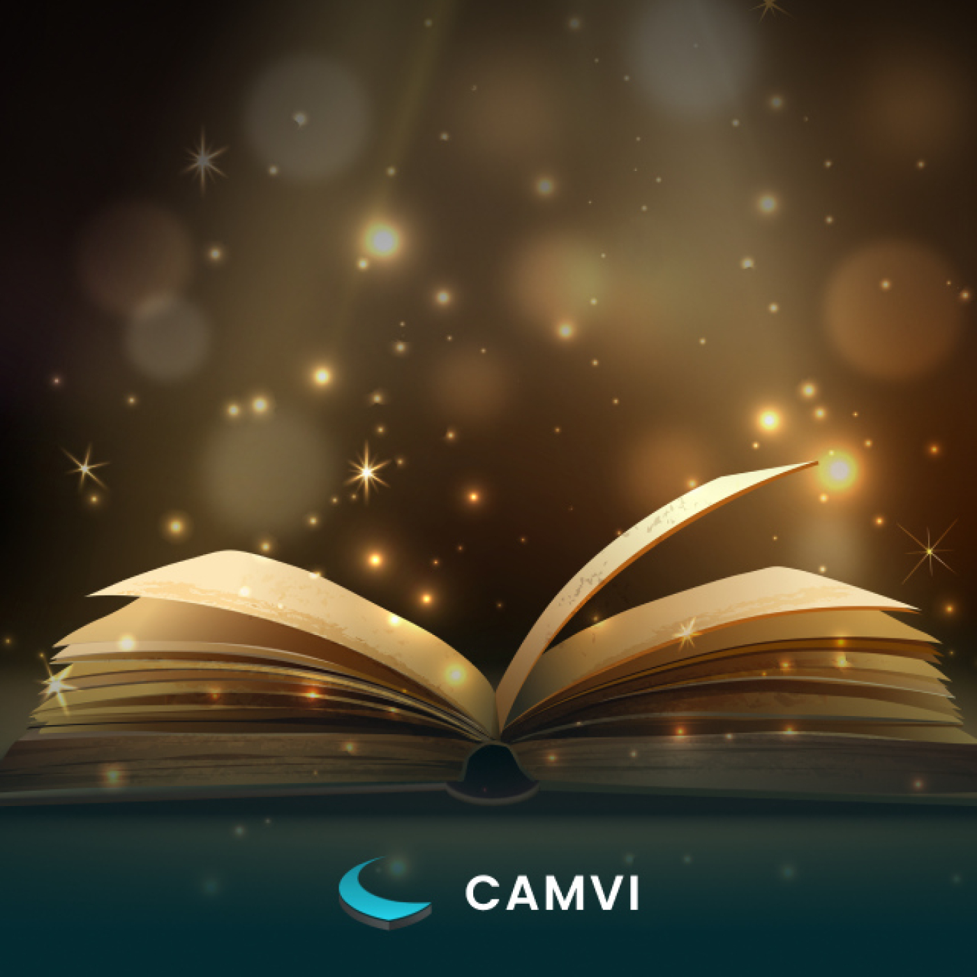 CAMVI