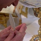 Homilía en la Sagrada Eucaristía desde Medellín. lunes 26 de agosto.