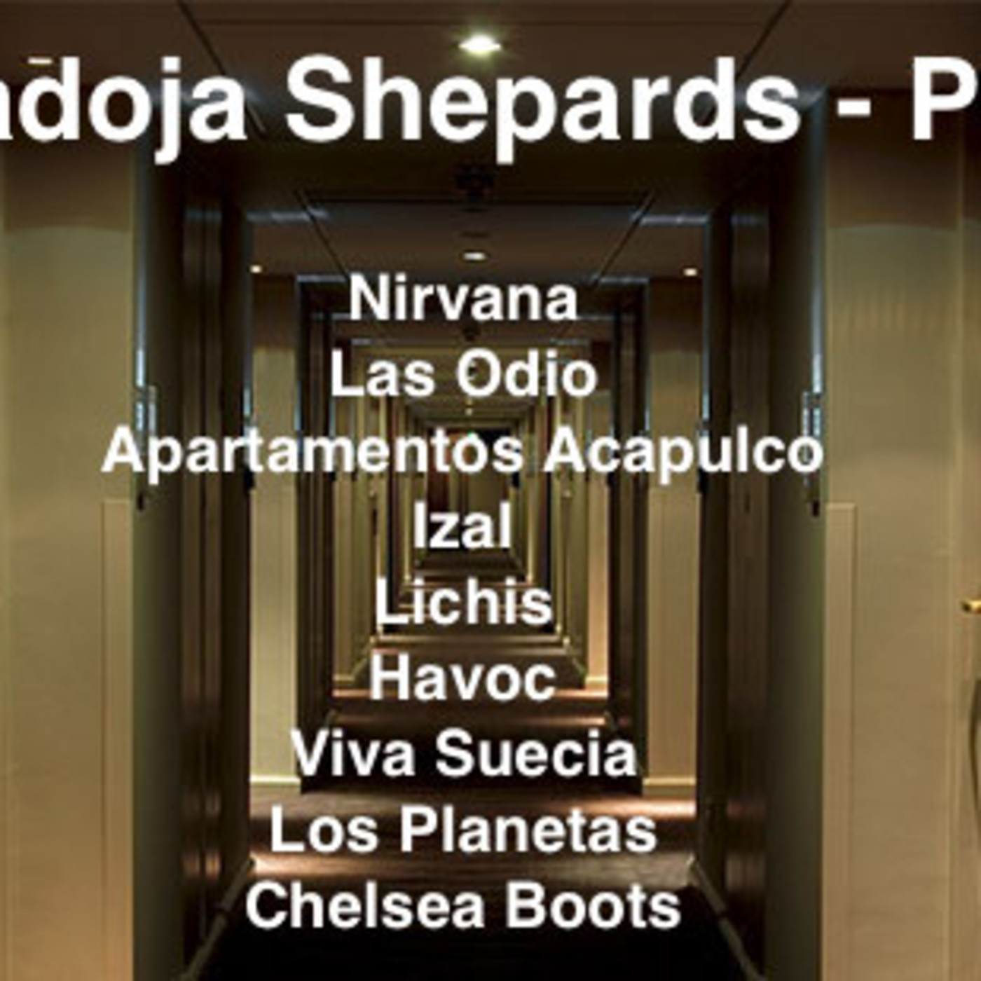 Paradoja Shepards