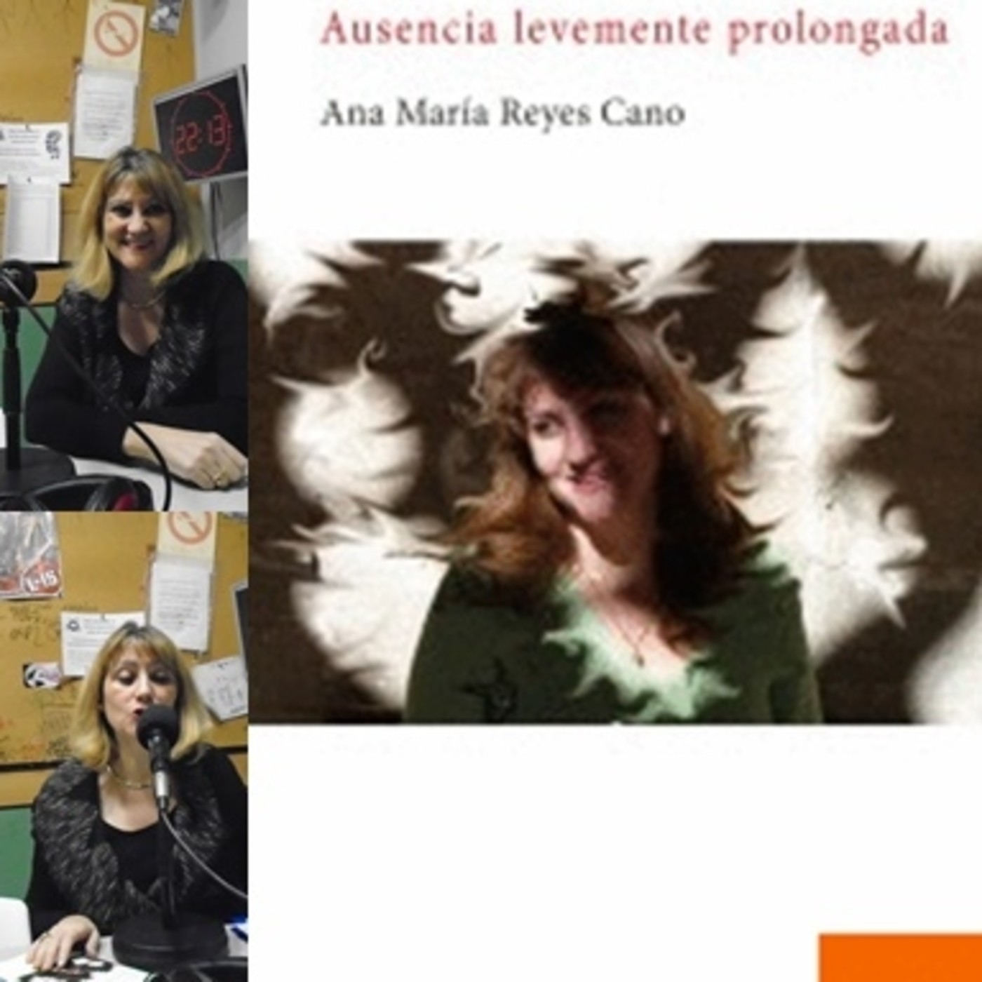 POETAS EN EL AIRE