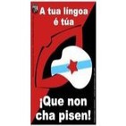 O colocación do PRONOME ÁTONO no galego 1