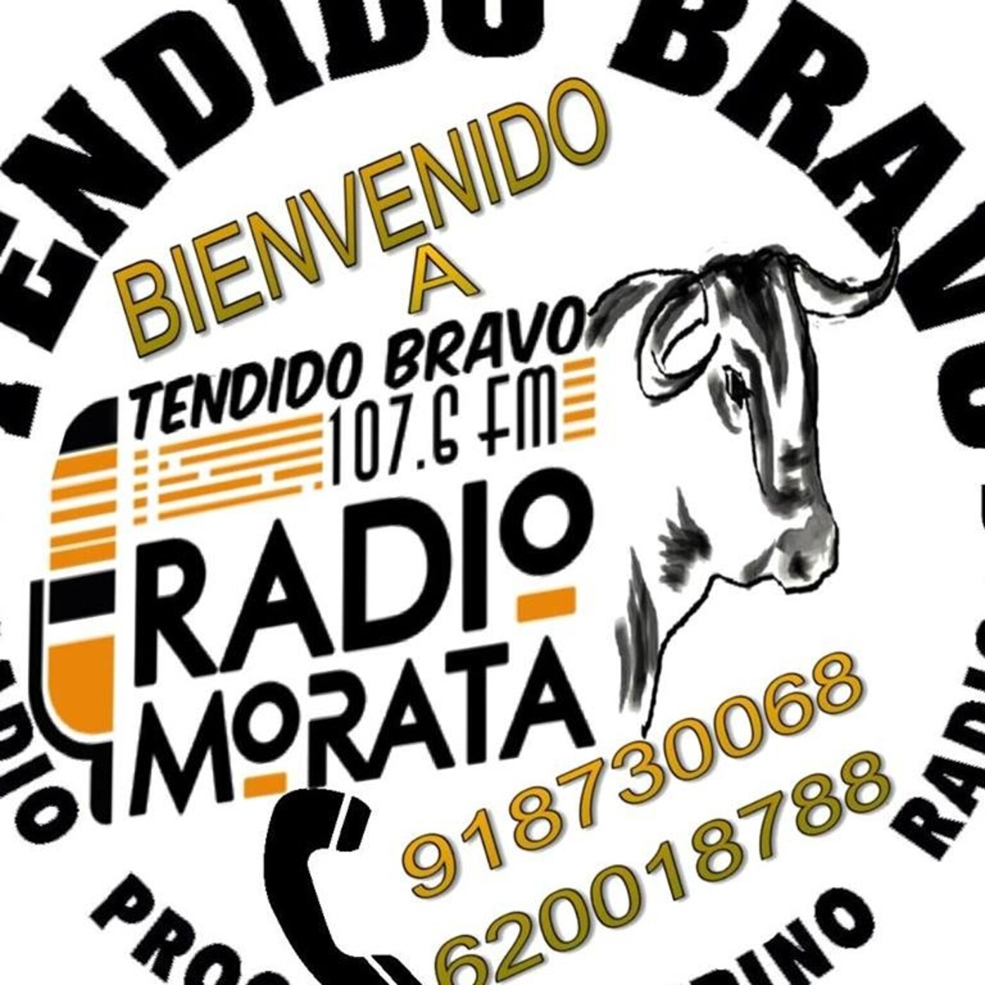 TENDIDO BRAVO