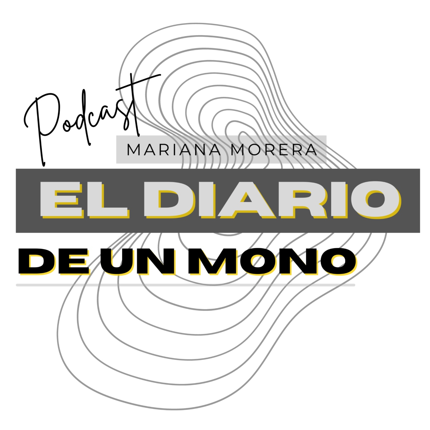 El Diario de un artista