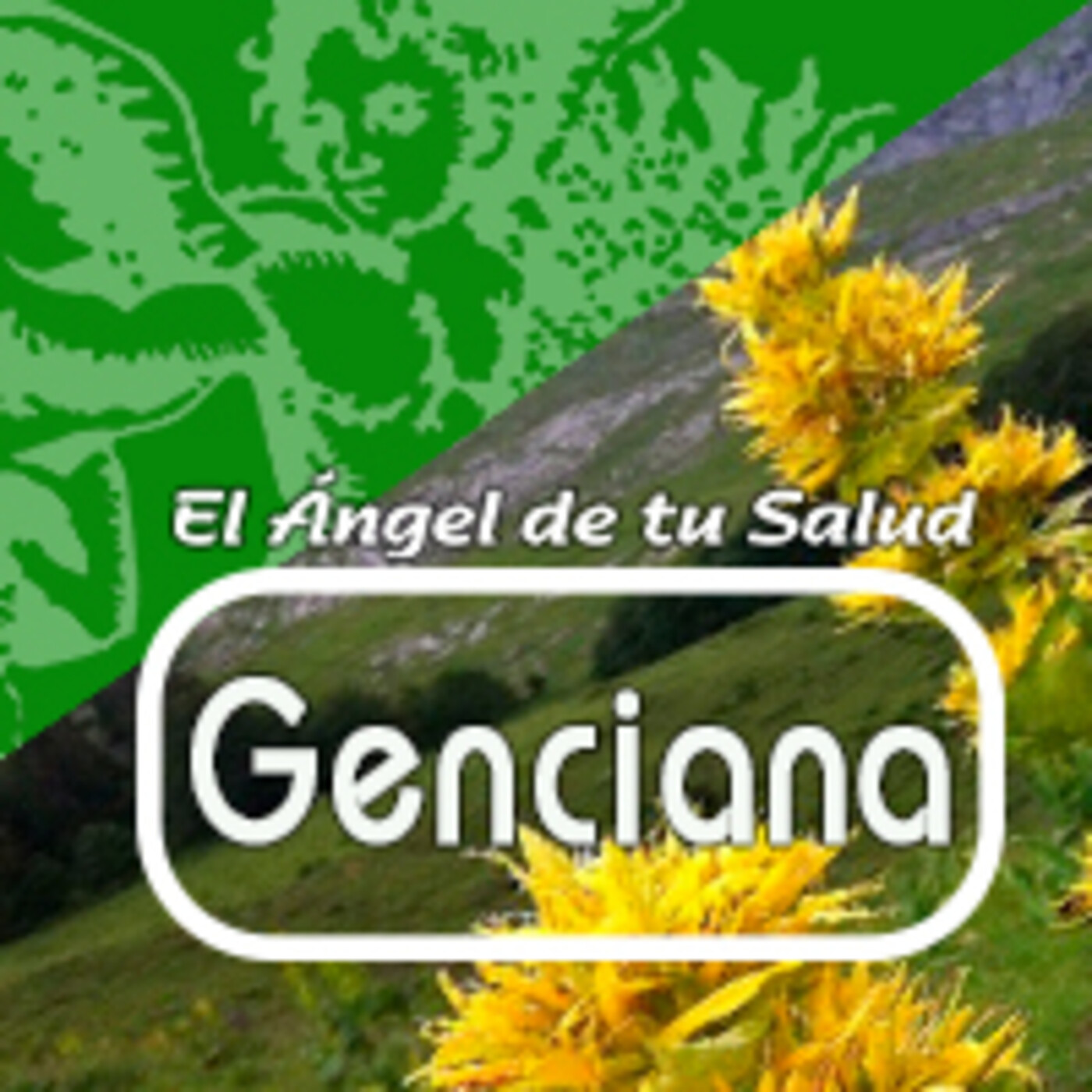 El Angel de tu Salud - GENCIANA* episode artwork