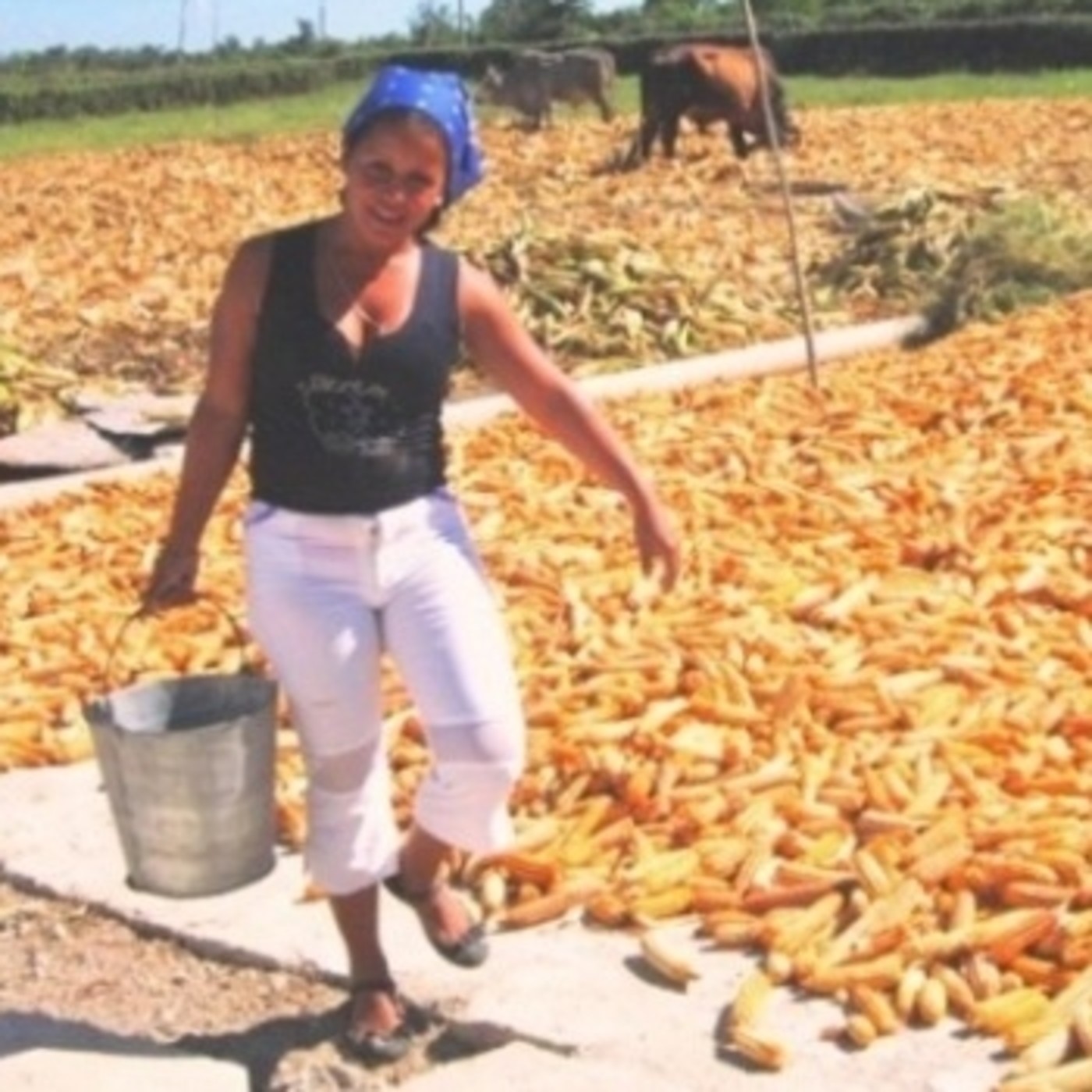 Por mayor producción de alimentos en Mella