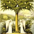 ENTRELÍNEAS: El árbol de la vida