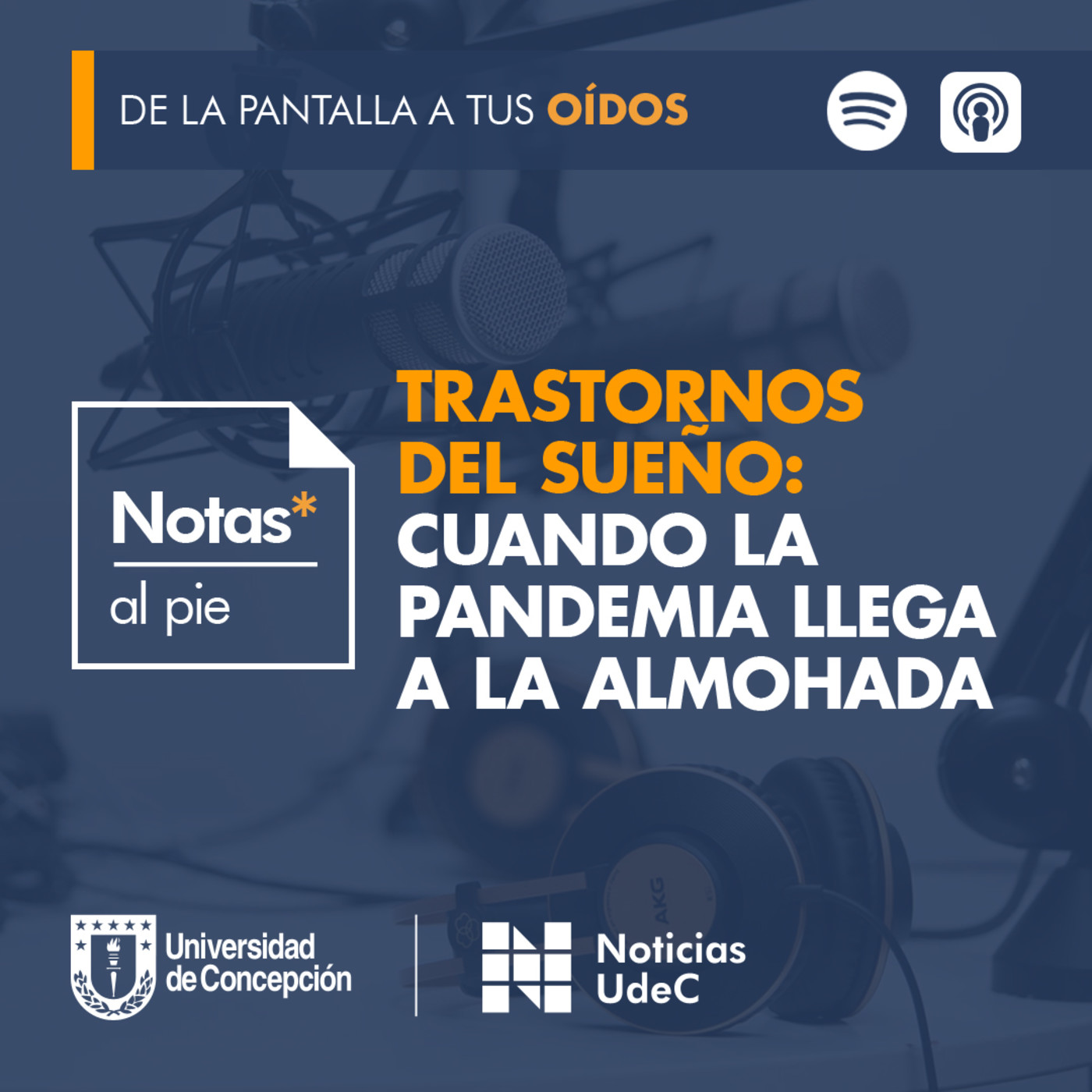 Notas al pie
