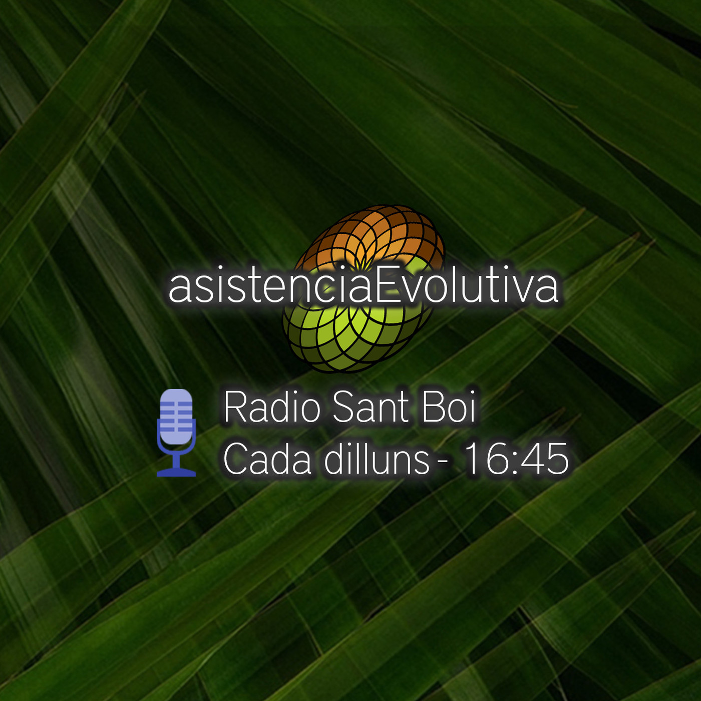 Asistencia Evolutiva - Programas de Radio