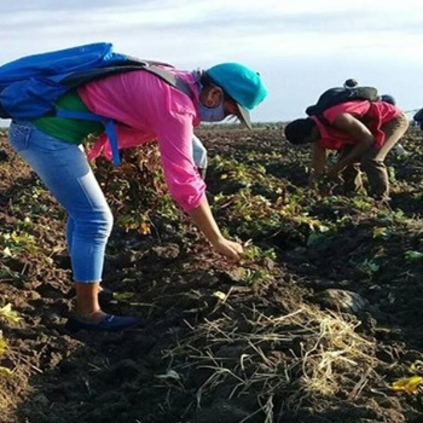 Por mayor producción de alimentos en Mella