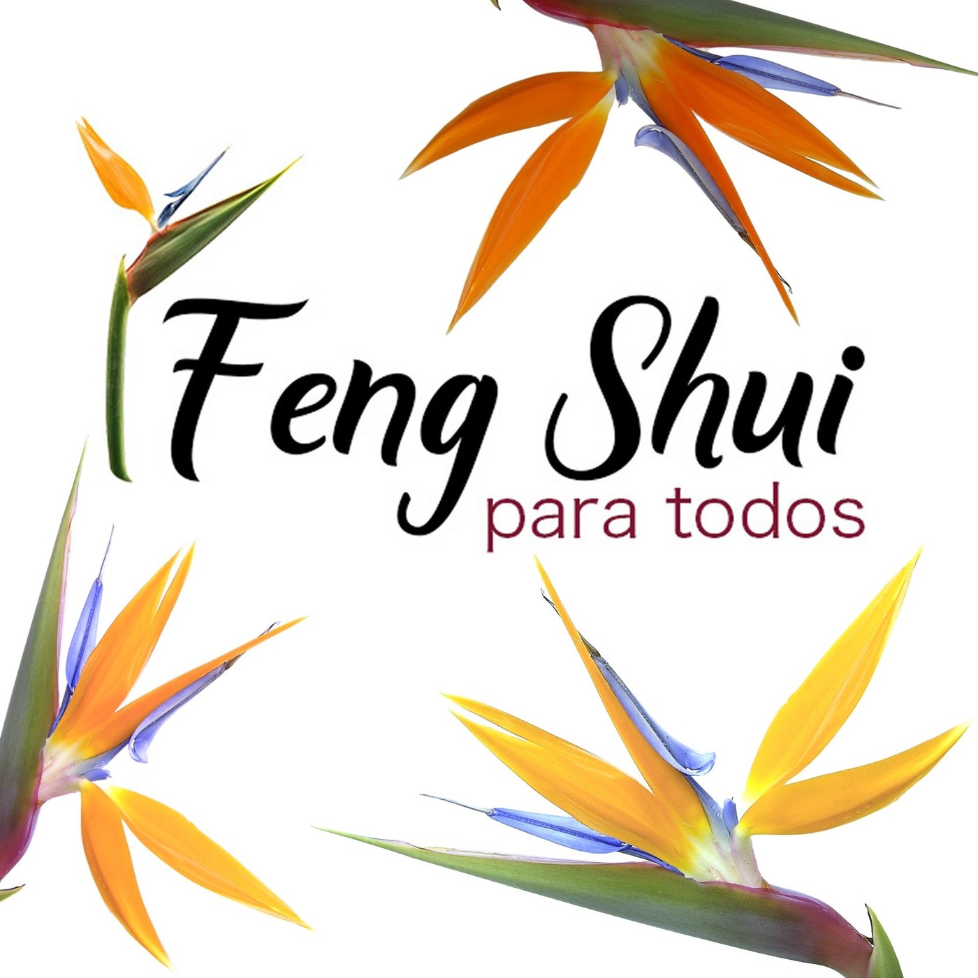 Decora para ser feliz
