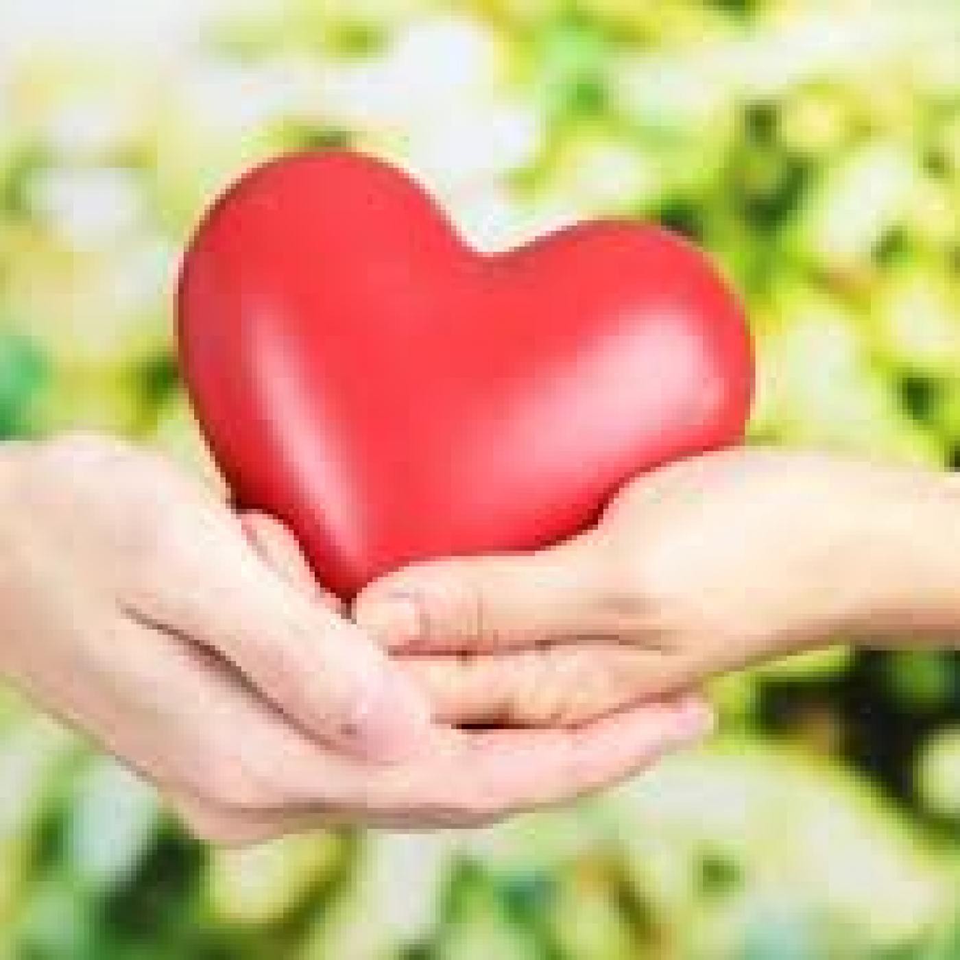 La Vía del Corazón