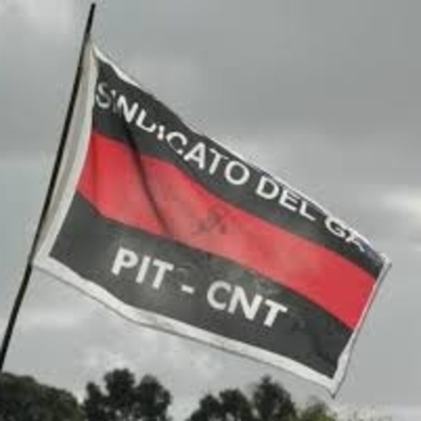 Noticias Nacionales La Cotorra F.M. 94.3