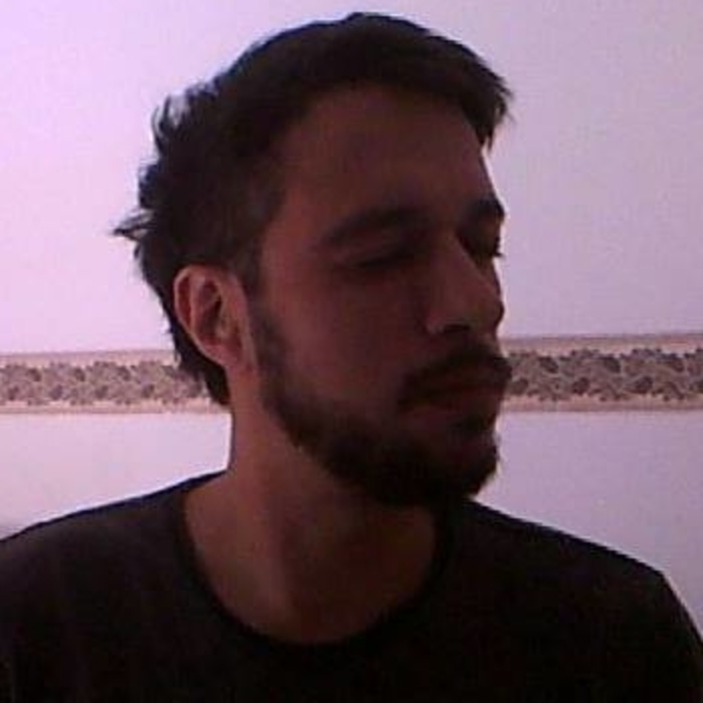 El Despertar de los Zonzos