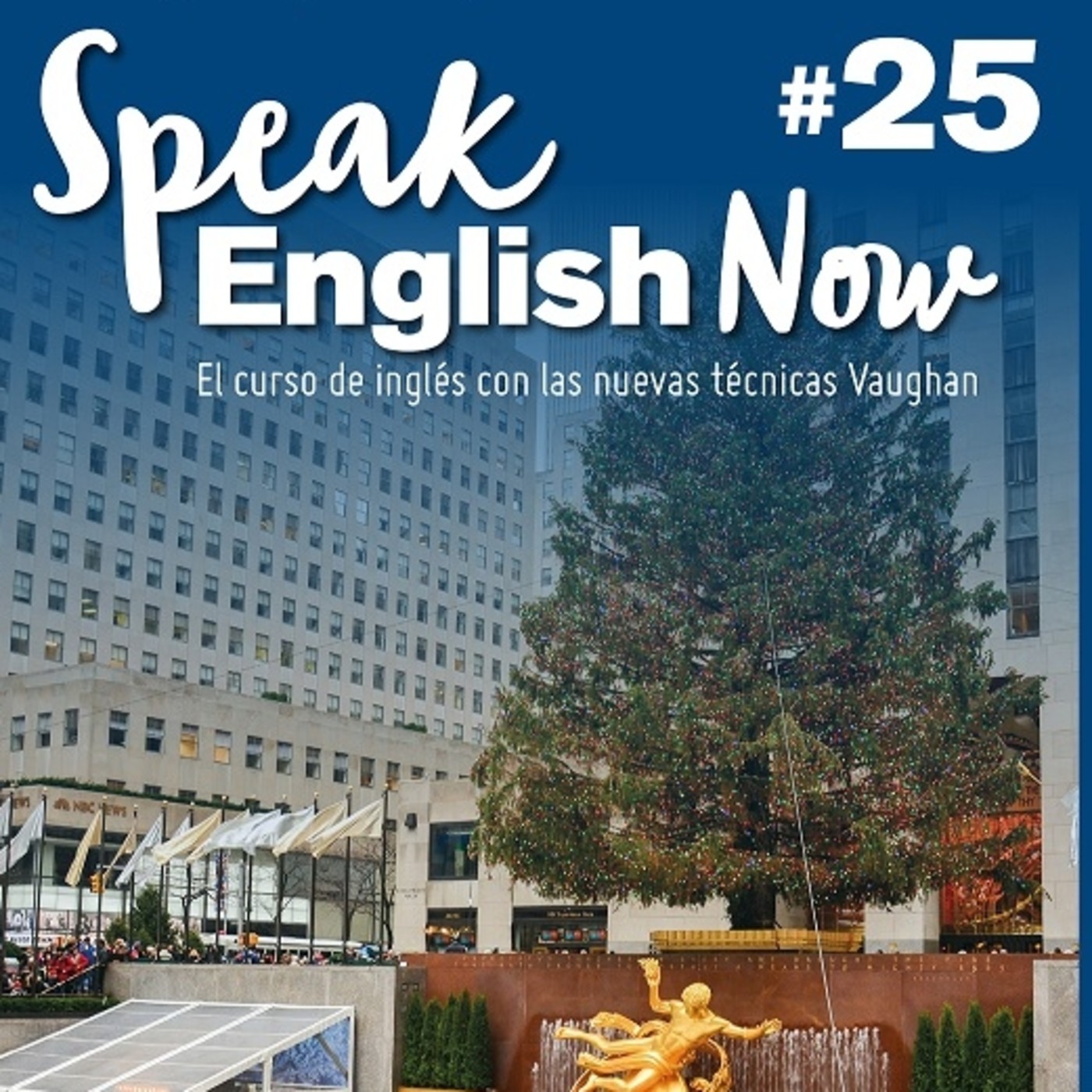 Speak English Now By Vaughan Libro 25