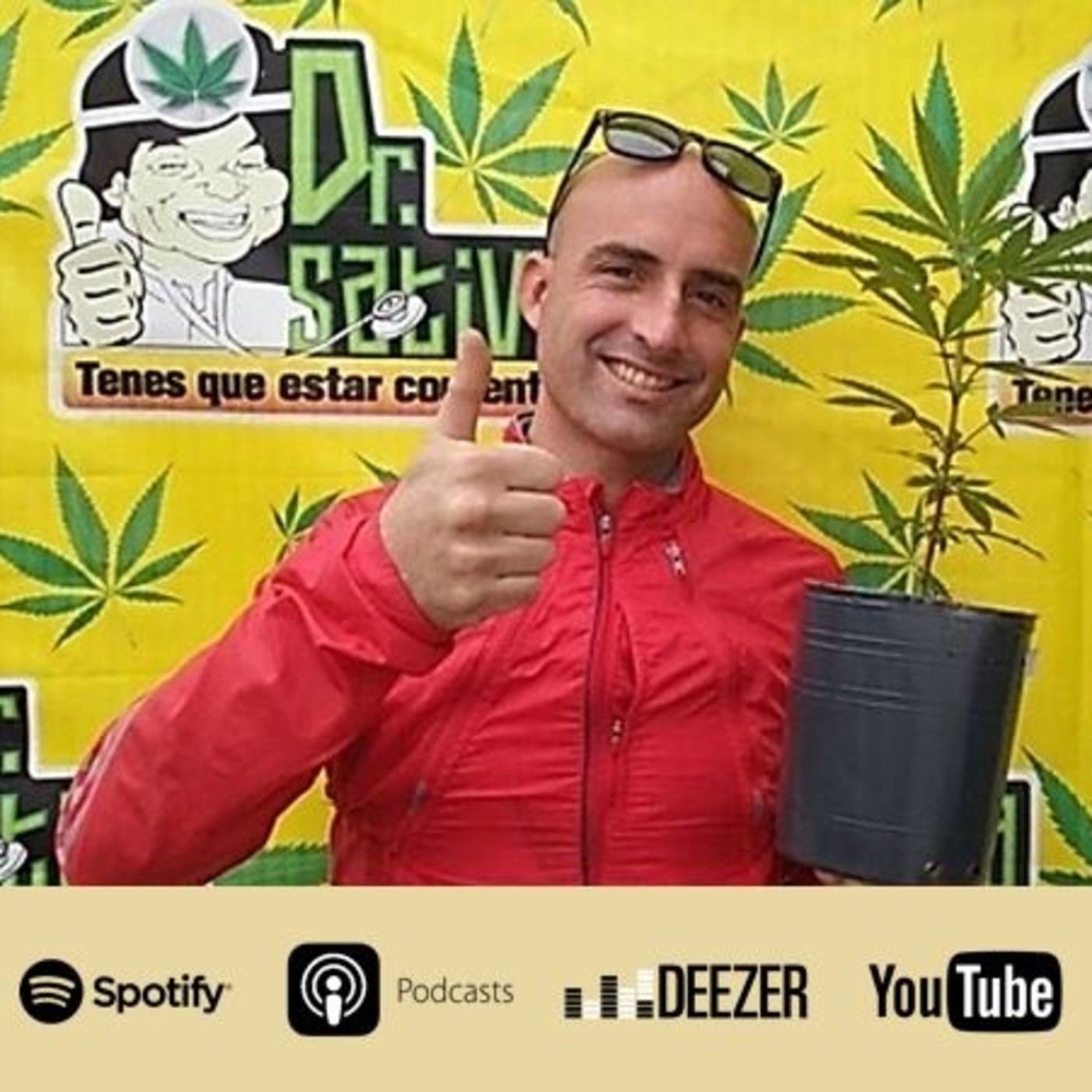La Voz del Cannabis