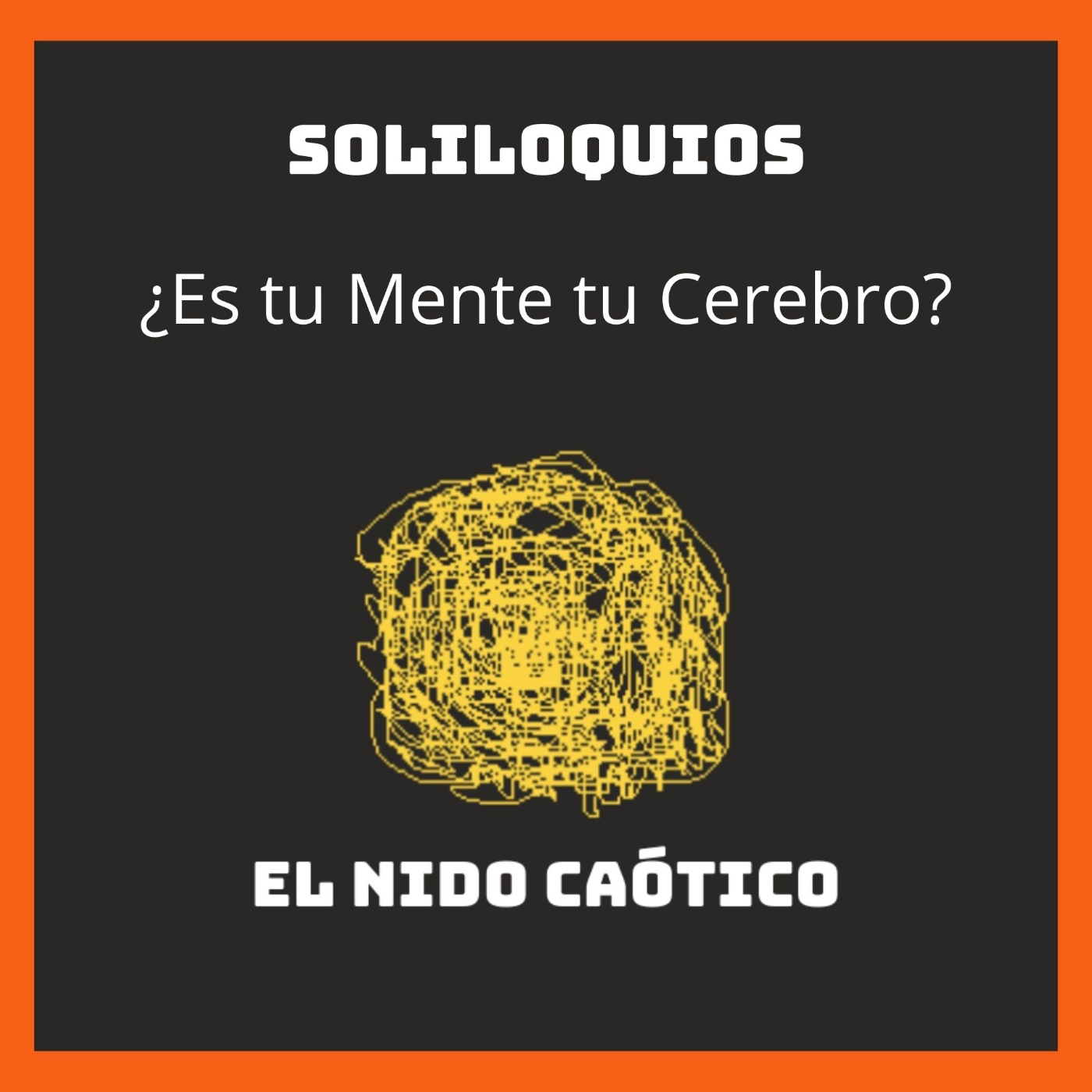 EL NIDO CAÓTICO