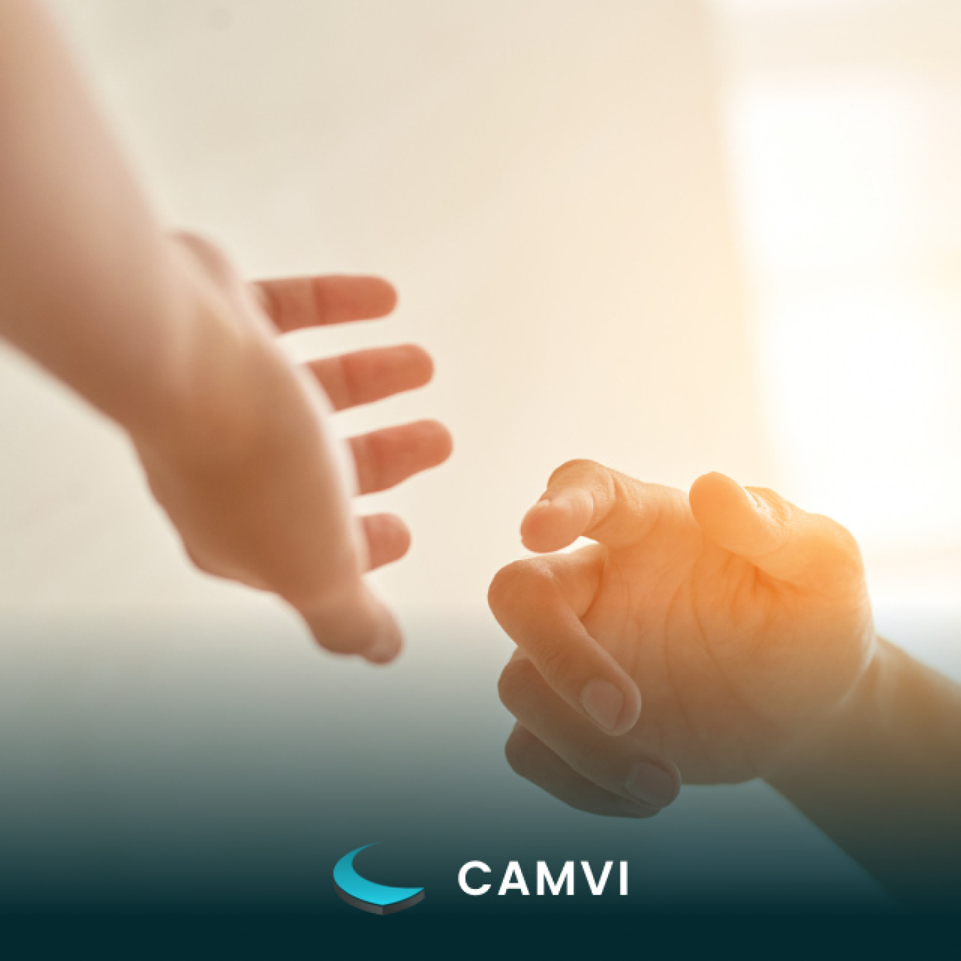 CAMVI